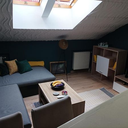 Ferienwohnung Ram1 Novi Sad Exterior foto